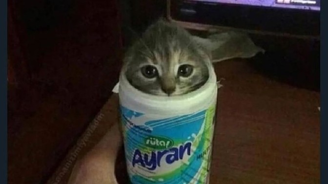 Sevdiğinizin en sevdiği yiyecek olsaydınız hangi yiyecek olurdunuz?