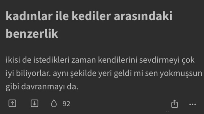 Sizce de kediler ile kadınlar arasında benzerlik var mı?