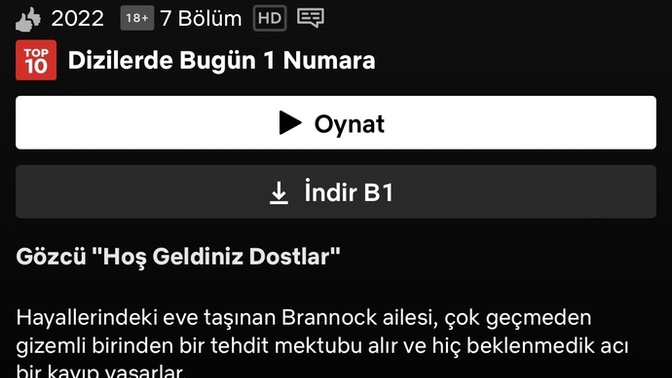 Netfixde GÖZCÜ dizisini kimler izledi?
