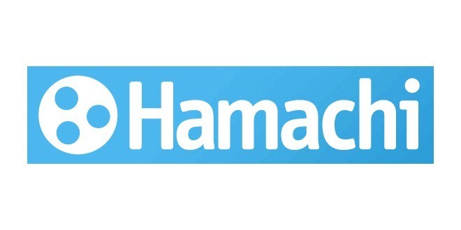 Unreal engine 5e başladım, online subsystem hamachi ile çalışır mı?