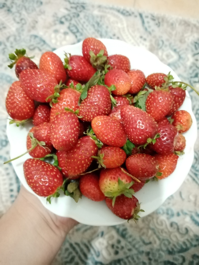 Komşularınız tabaklarınızı dolu mu, boş mu geri verir?