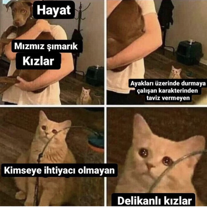 Aşko kuşko kadınlar mı yoksa hırçın delikanlı kadınlar mı aşkta kazanır?