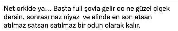 Erkekler bir çiçek olsaydı hangisi olurdu?