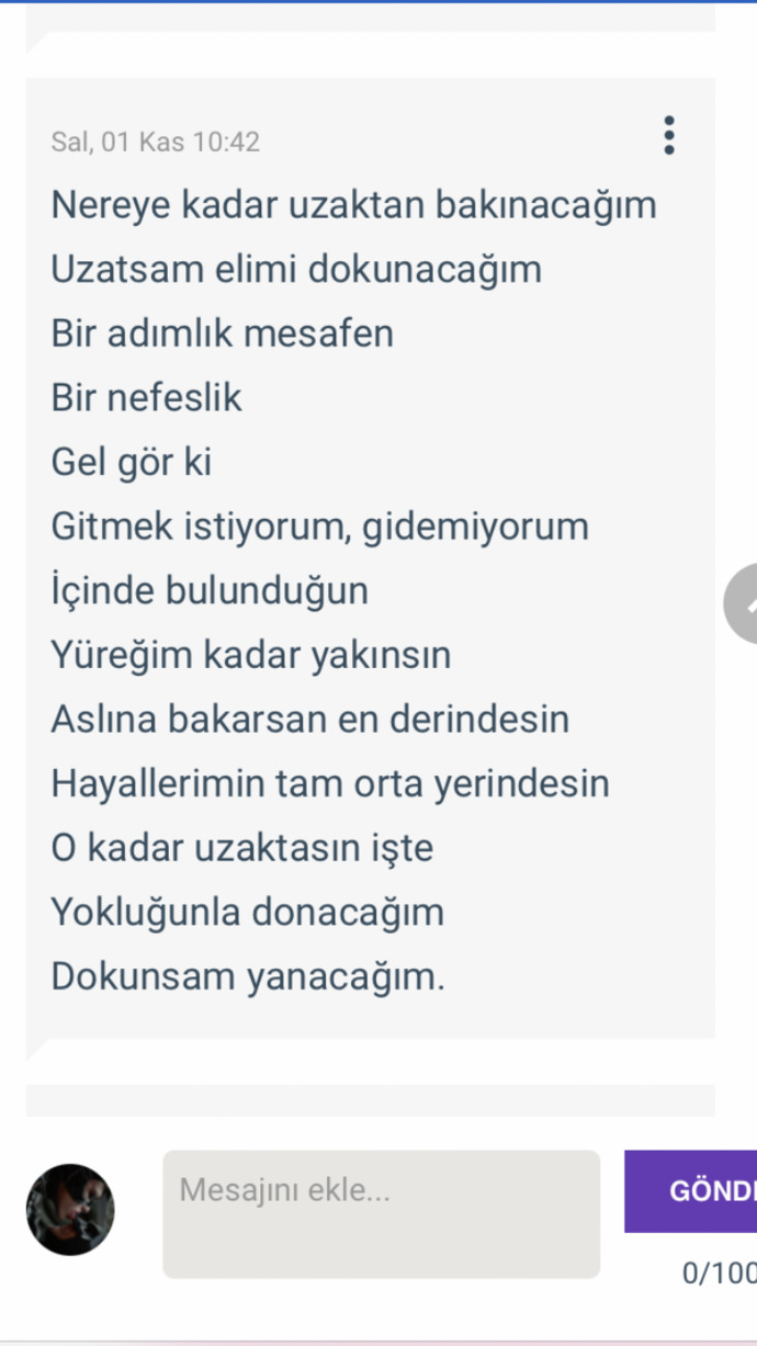 Şair bu dizelerinde ne anlatmak istiyor?