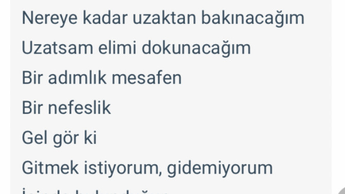 Şair bu dizelerinde ne anlatmak istiyor?