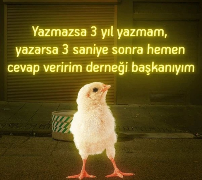 Size yazmayana yazar mısınız?