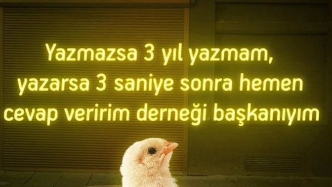 Size yazmayana yazar mısınız?