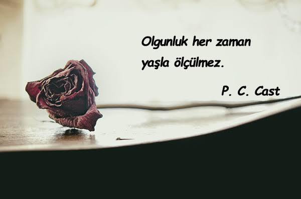 Hangi evreyi geçerseniz olgunluk mertebesine yükselmiş olursunuz?