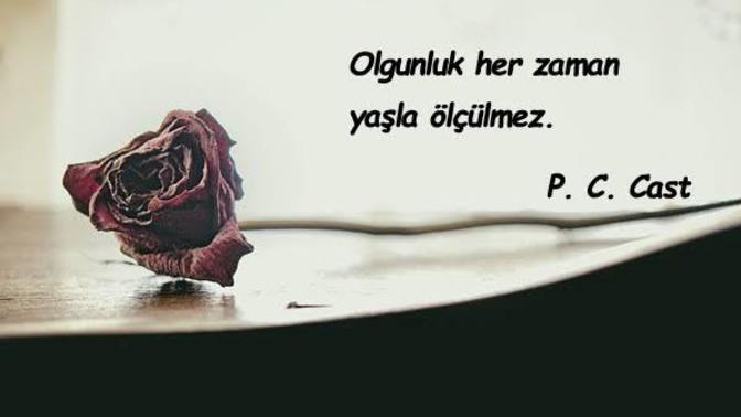 Hangi evreyi geçerseniz olgunluk mertebesine yükselmiş olursunuz?