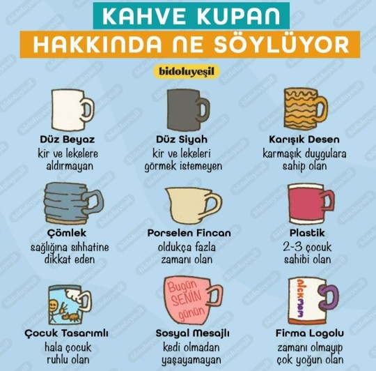 Sen hangi kupayı seçtin?