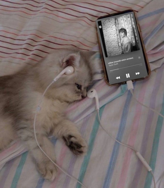 Şarkılar depresyonuna eşlik mi eder, seni depresyondan mı çıkarır?