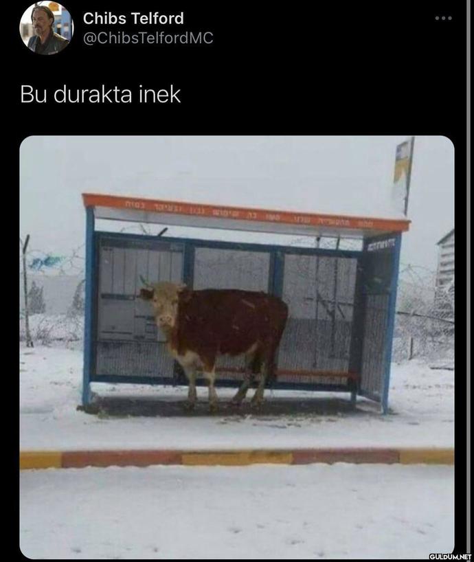 Espriretüel (aktüel gibi oldu) kızlar nasıldır?