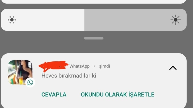 En son hangi sebepten hevesiniz kırıldı, sizin hevesinizi kim bırakmadı?