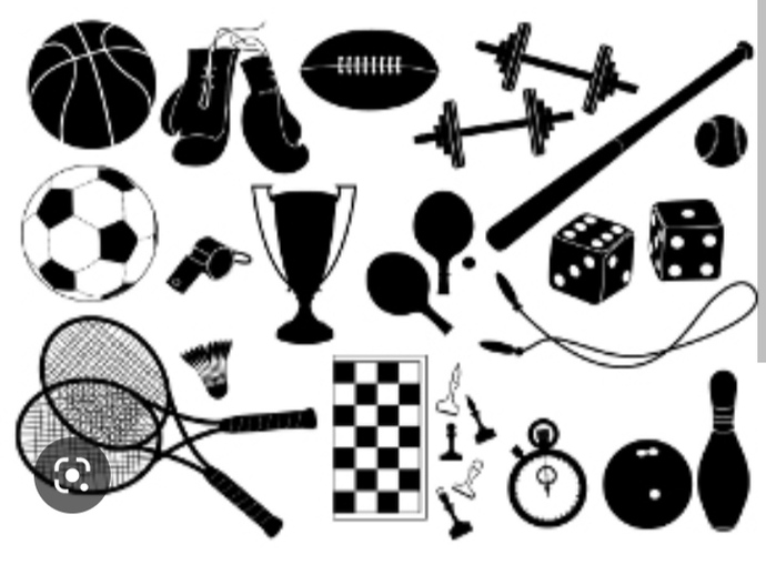 Vaktiniz veya imkanınız olsaydı hangi sporla ilgilenirdiniz?