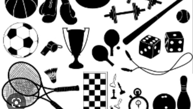 Vaktiniz veya imkanınız olsaydı hangi sporla ilgilenirdiniz?