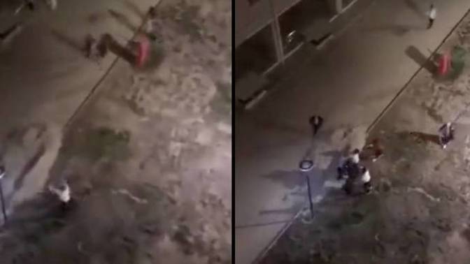 Isparta Kız Öğrenci Yurdu'nda satırlı kovalamaca yaşandı! Şiddet neden artıyor?