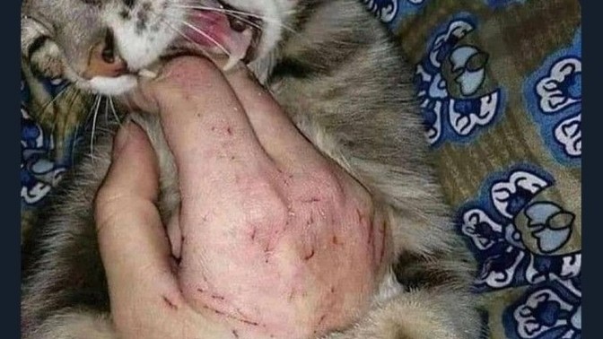 Toksik ilişki sizce katlanmaya değer mi?