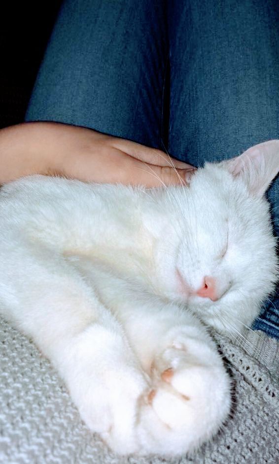 Yerim seni 🥰