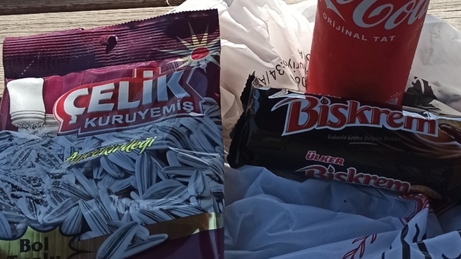 Ülke ekonomisinden memnun musunuz?