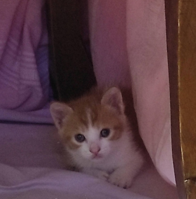 💘💘