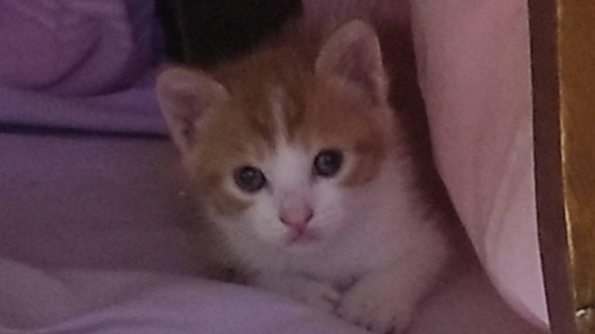 Bu bebeğin ismi ne olsun?