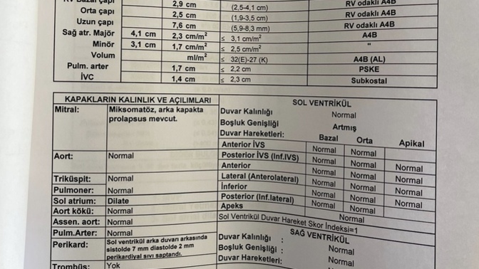 Kalp kapakçığı sıkıntısı olan çokk değerli arkadaşım var?
