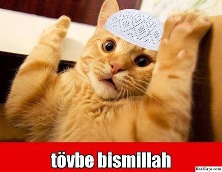 Benim gibi mutlu olan var mı?