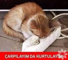 djdjd 😅