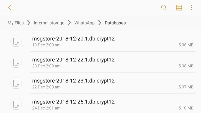 Whatsapp yedeklenen mesajlar lokal local