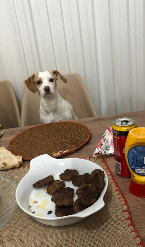 Herkes akşam menüsünün resmini atsın; akşam yemeğinde ne vardı😋😍🤤?