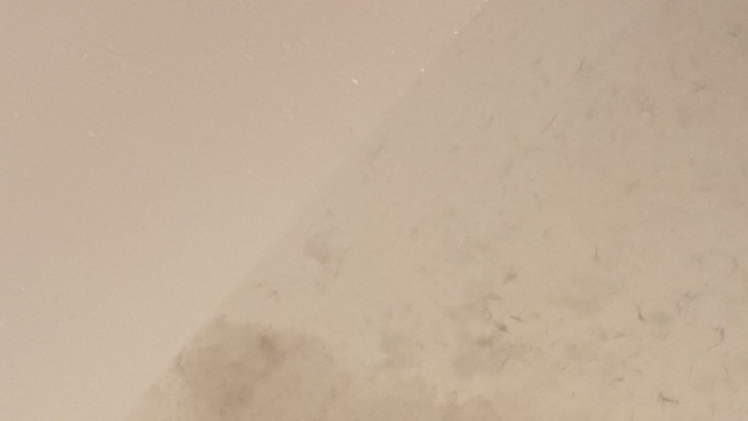 Duş aldım suda ki kire bakar mısınız? İğrenç? Nedir bu?