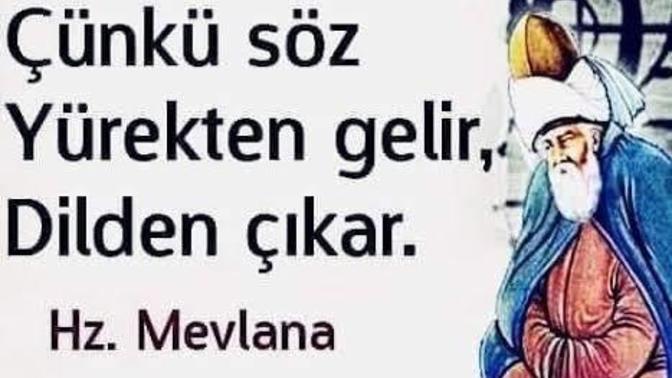 KS'de sorulan bazı sorularda içimden keçi saydığım oluyor, sizde de oluyor mu?