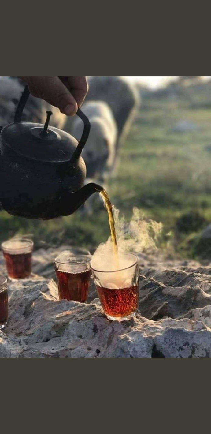 Tercihiniz sallama çay mı yoksa demleme çay mı?