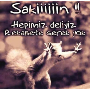 Yüzde kaç delisiniz?