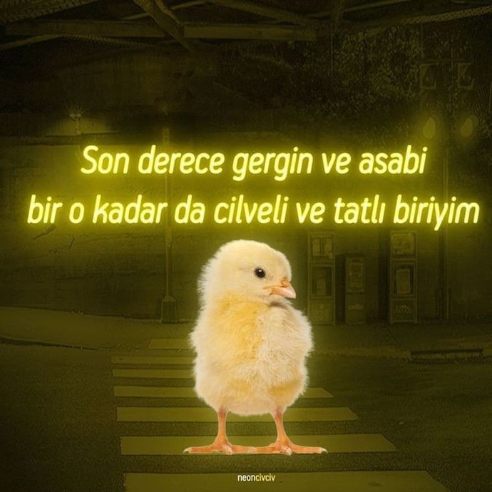 Kendinizi nasıl tarif edersiniz 😂?