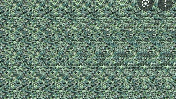 Şaşı bak şaşır, Stereogram nedir?
