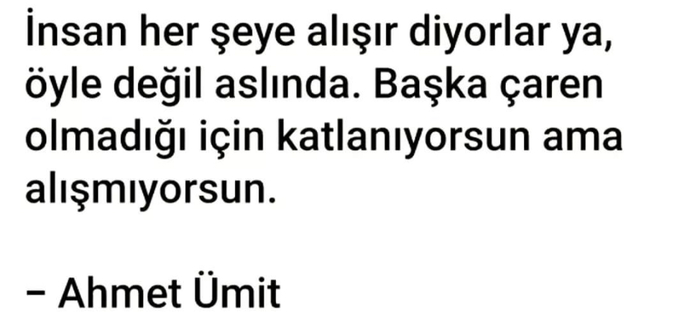 Çabuk alışır mısınız her şeye yoksa katlanıp geçsin diye mi beklersisiniz?