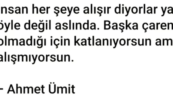 Çabuk alışır mısınız her şeye yoksa katlanıp geçsin diye mi beklersisiniz?