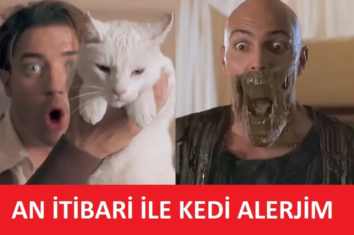 Kedi bakımında en zor şey nedir?