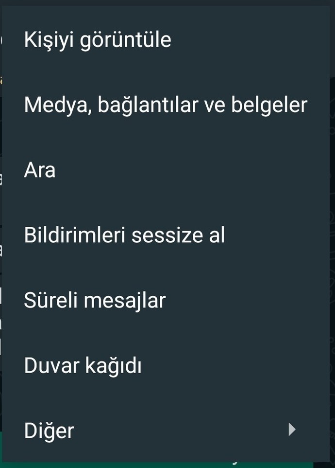 Eşimin beni aldattığını farkettim ama elimde kanıt olsun istiyorum onun WhatsApp'ını nasıl kendi telefonumda görebilirim?