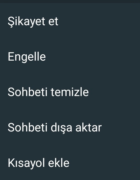 Eşimin beni aldattığını farkettim ama elimde kanıt olsun istiyorum onun WhatsApp'ını nasıl kendi telefonumda görebilirim?