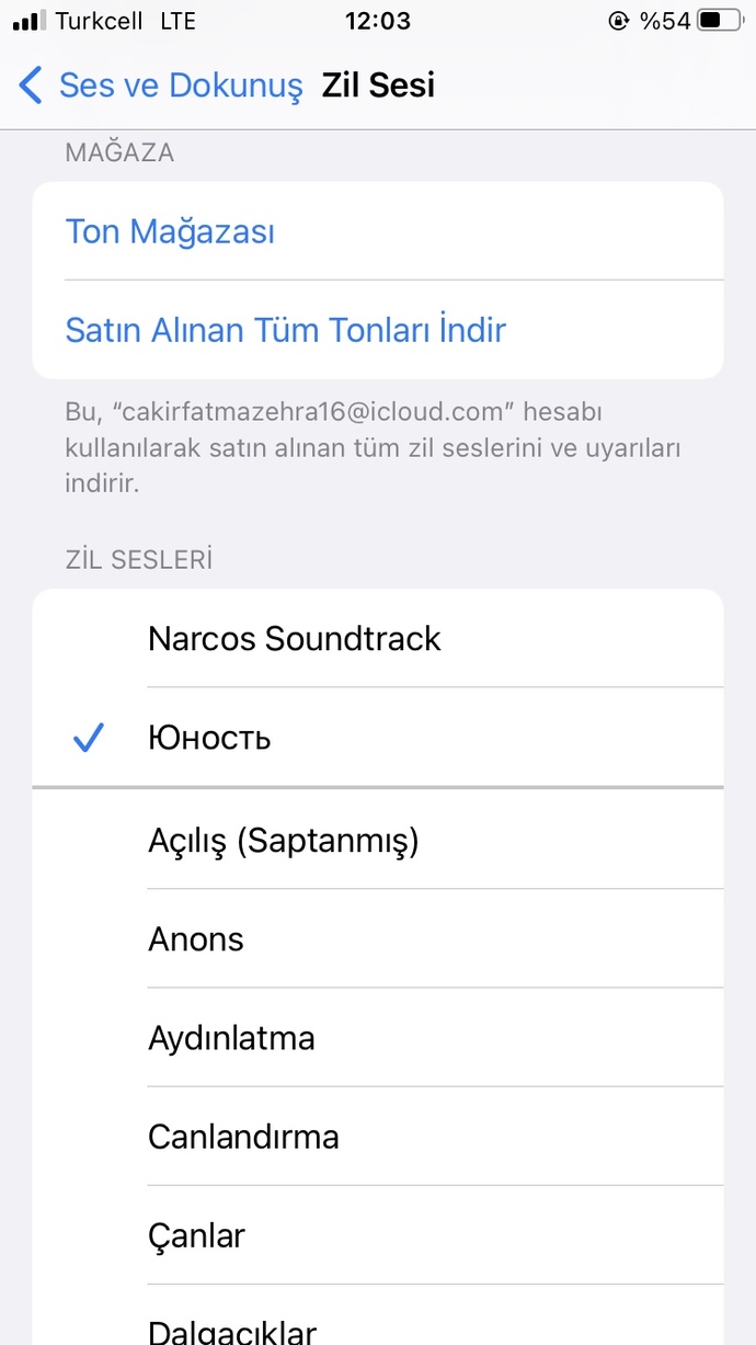 Telefon müziğiniz nedir, güzel mi?