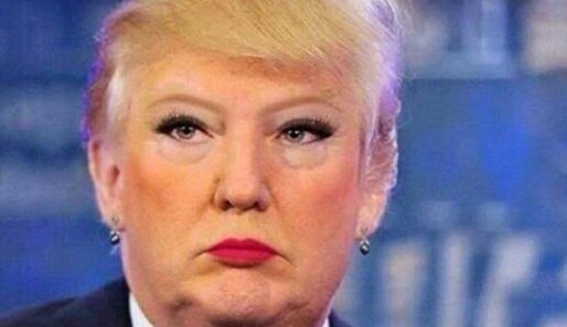Oyunuzu Bidena Mı Verirdiniz Yoksa Trumpa Mı?