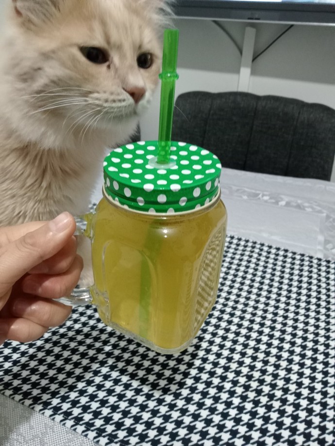 Diyet için kullandığınız ve sonuç aldığınız ürünler oldu mu?