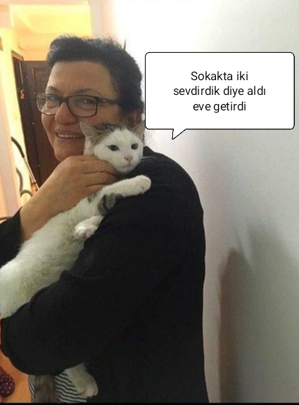 Evimizin yeni üyesi için mama önerisi verir misiniz? 😊 