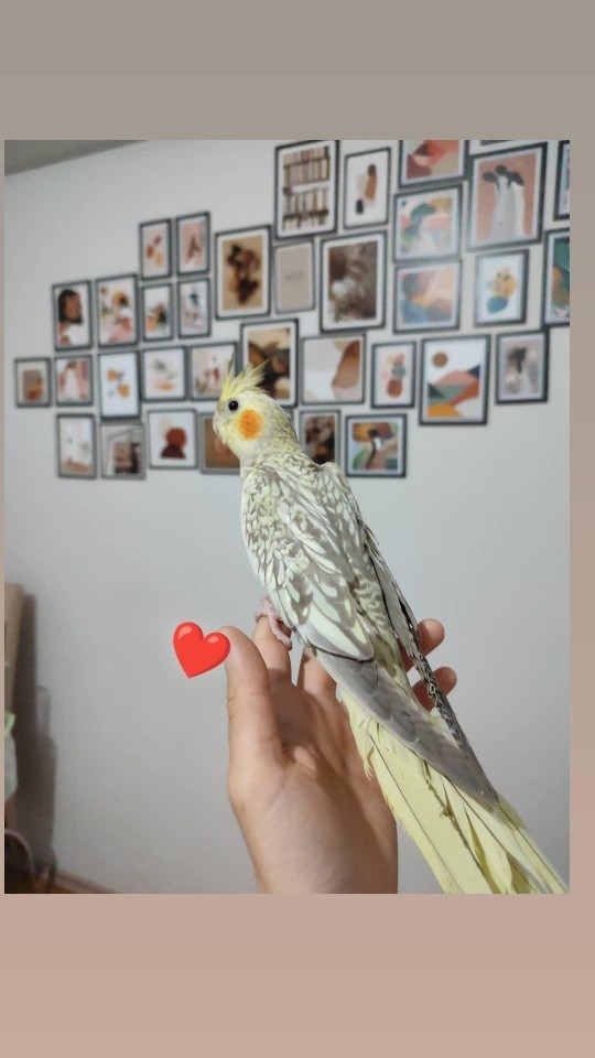 Gün içinde vaktini en çok neyle geçiriyorsun?