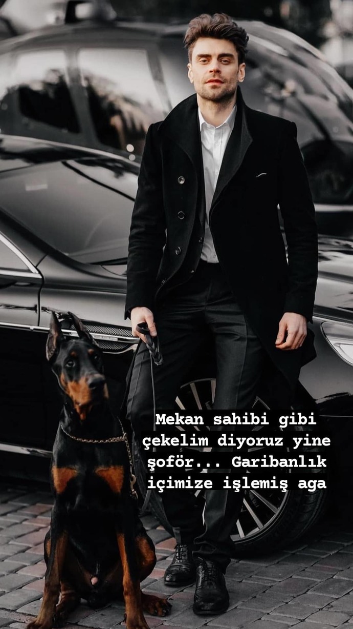 Arkadaşını ziyarete gittin kapıyı açtın ve bu evcil dostlarıyla karşılaştın ne yaparsın?
