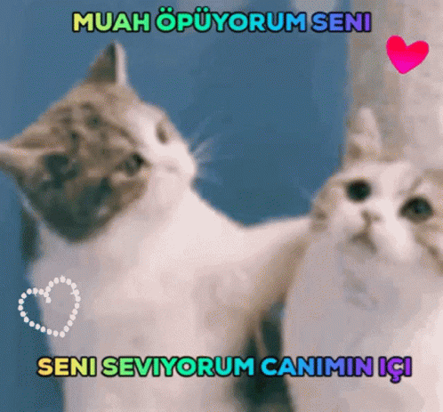 ❤️