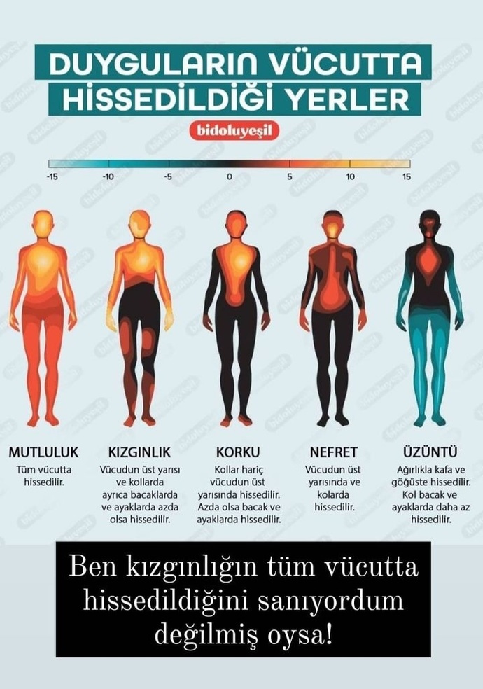 Biliyorum sakin olmam lazım...🤦🏻♀️