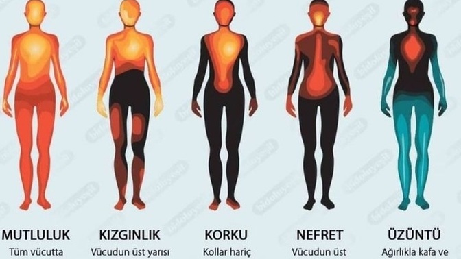 Duyguların vücutta hissedildiği yerler nelerdir?